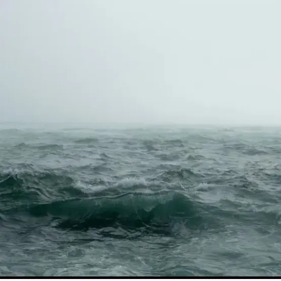 WhiteKishu4974의 백룸 -심해공포증-