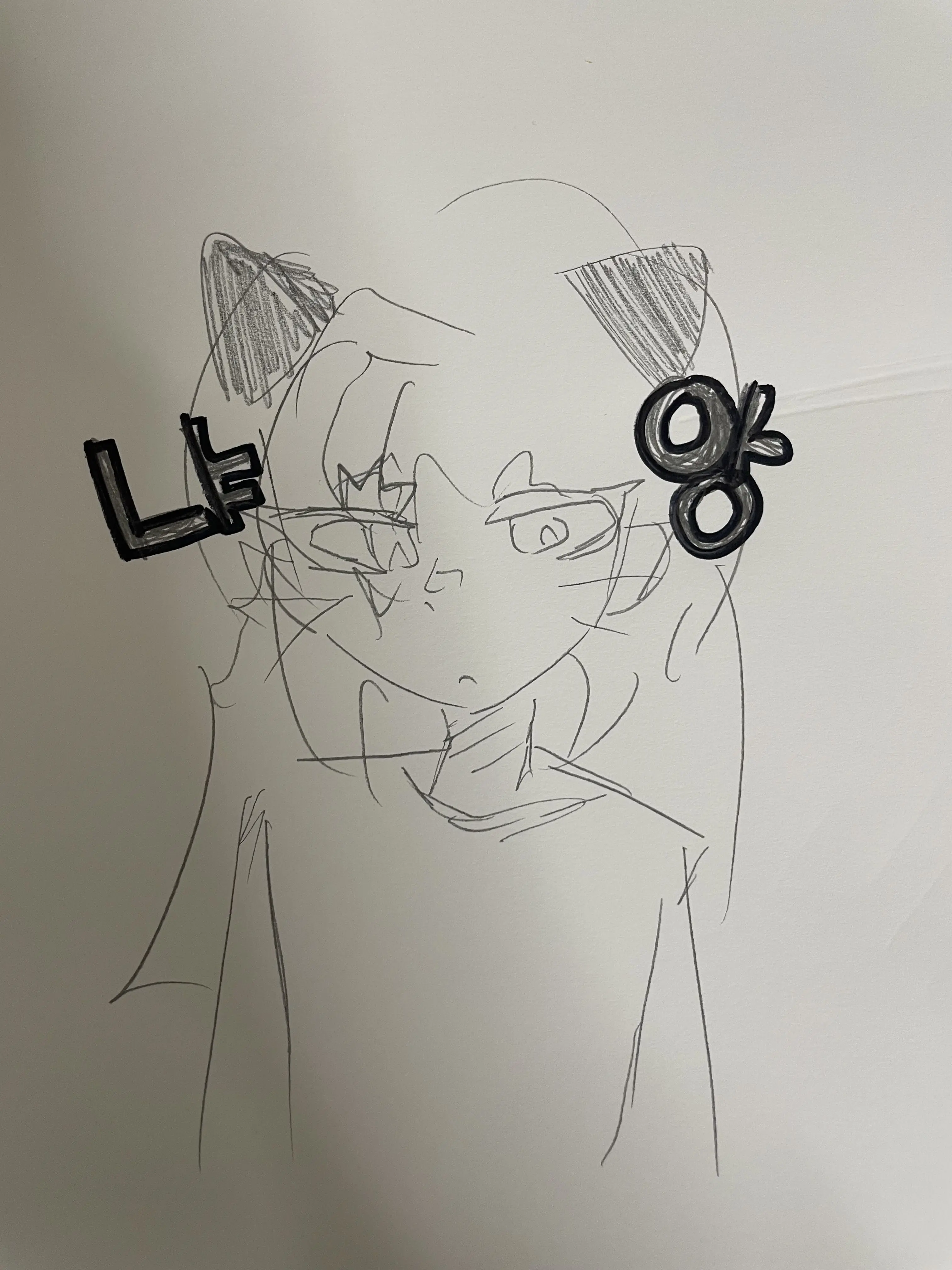 GrumpyStud3647의 •.:/고양이 키우기