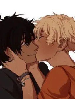 StableRack8462의 Solangelo