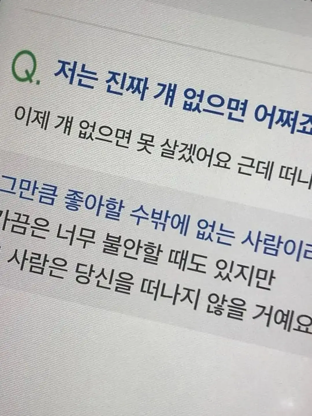 P.J.H_MAY_DAY의 박지훈