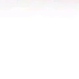 내가 유이가 됐지만 여우편?