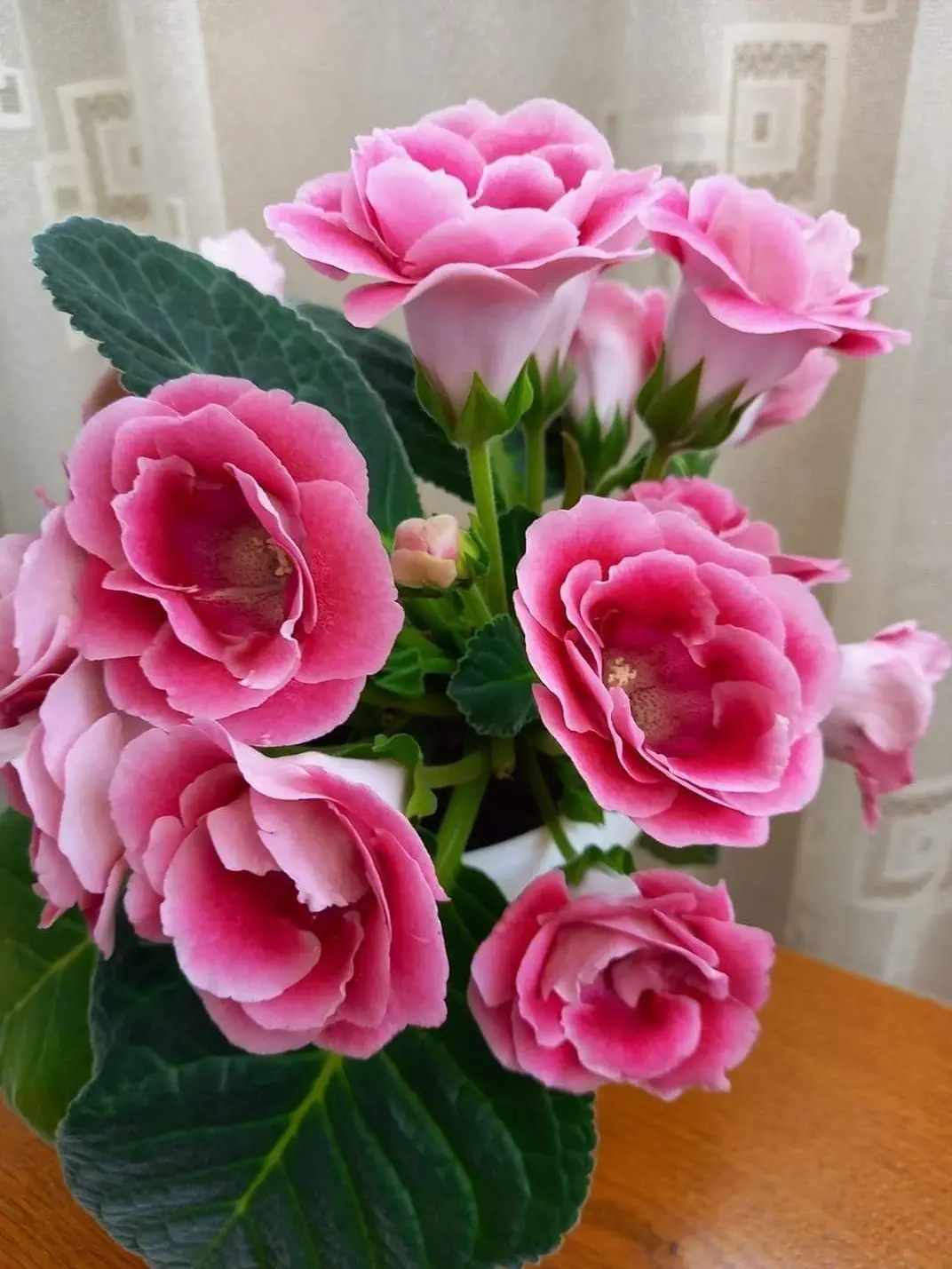 Hank3532의 플래그