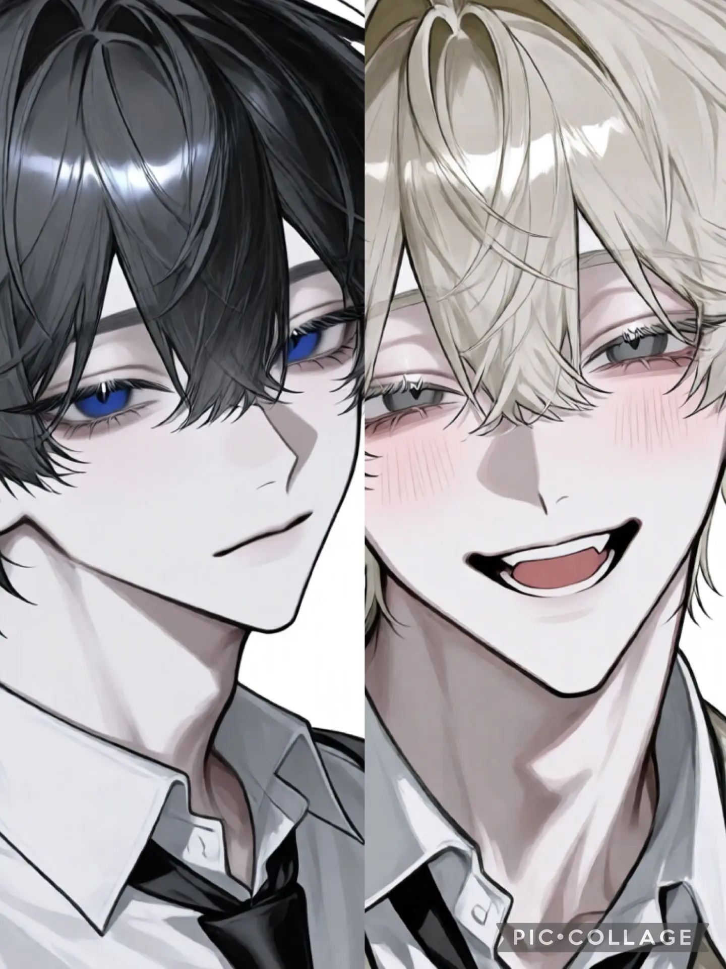 WellDaug9259의 You're a Chatty Little Parrot