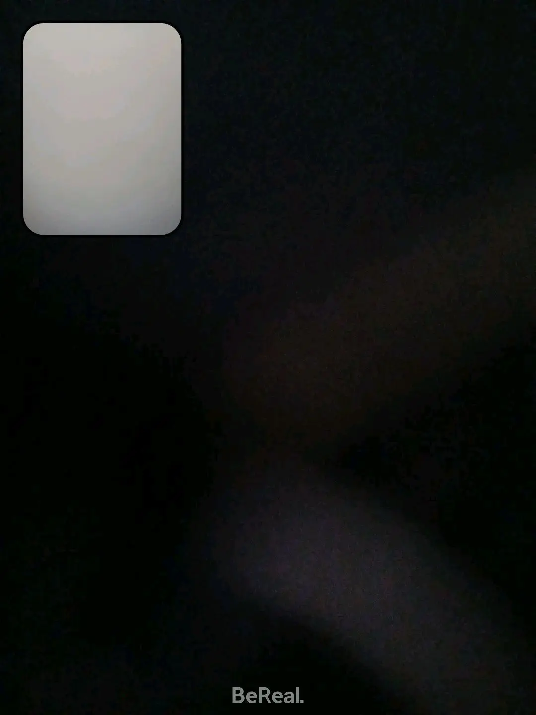 CuteFly6098의 裏組織