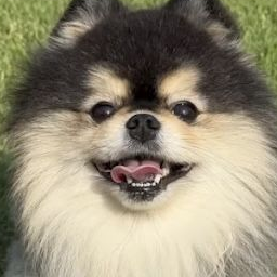 일진 남녀무리 | 파자마파티 대표 이미지