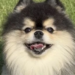 일진 남녀무리 | 파자마파티