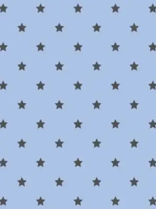 sui.04의 ｢  。｣