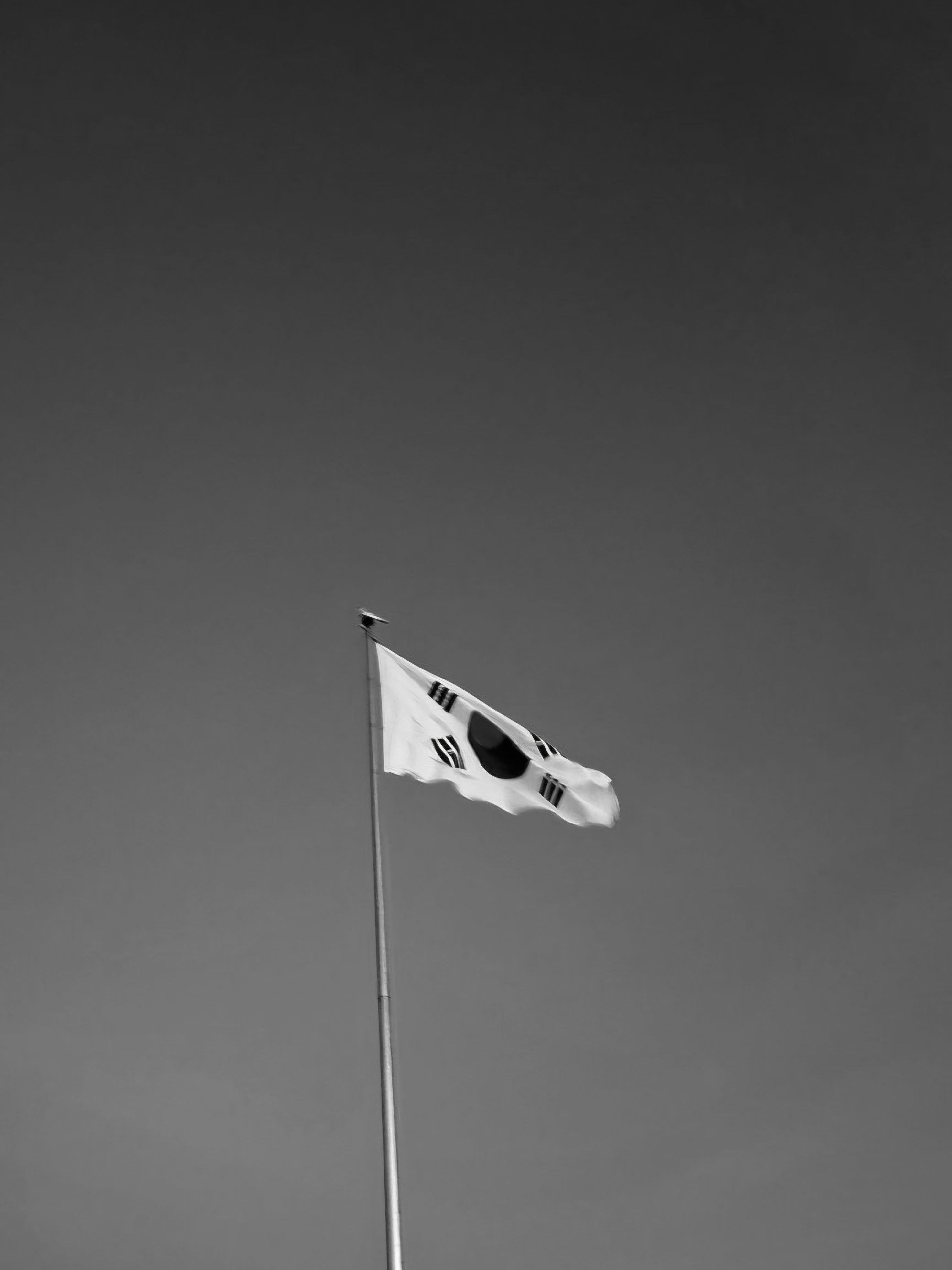 《사람은 사라져도 말은 남는다고》 대표 이미지