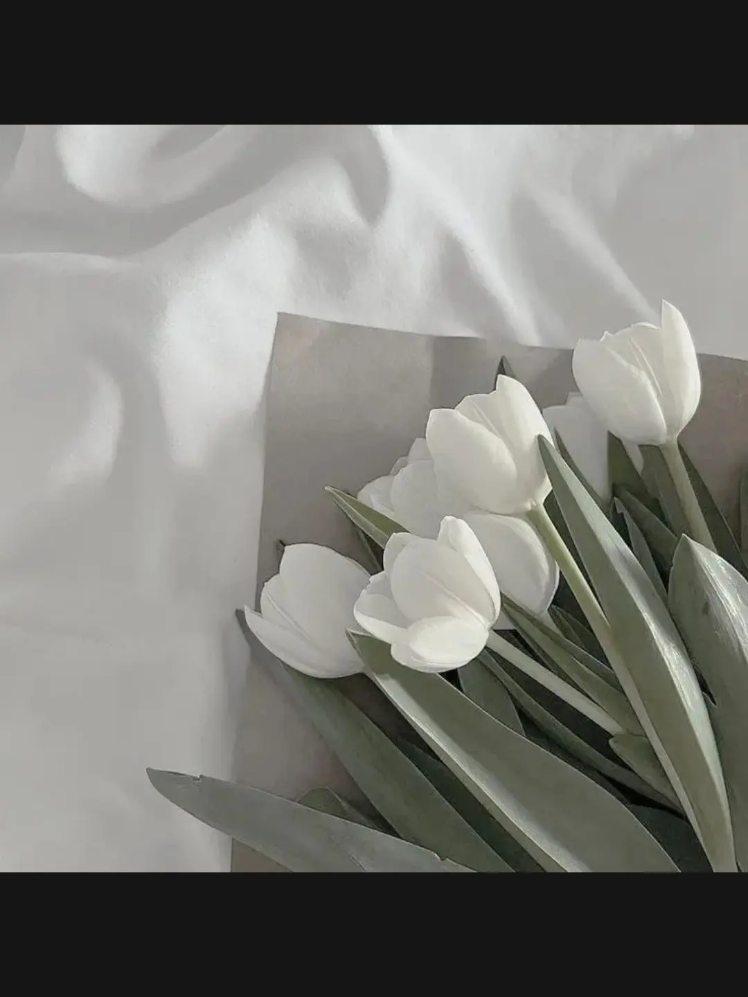 HelloSosoai의 잠깐, 방금 뭐가ㅡ
