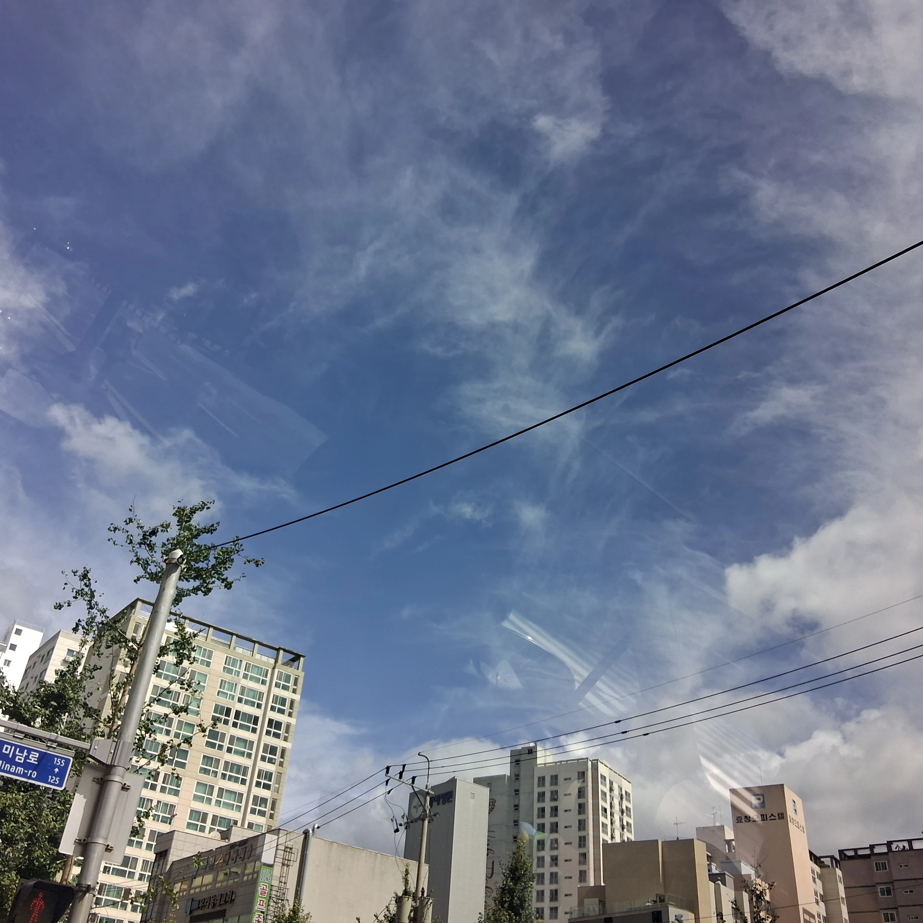 여자만 똥,방귀 냄새가 심한세상