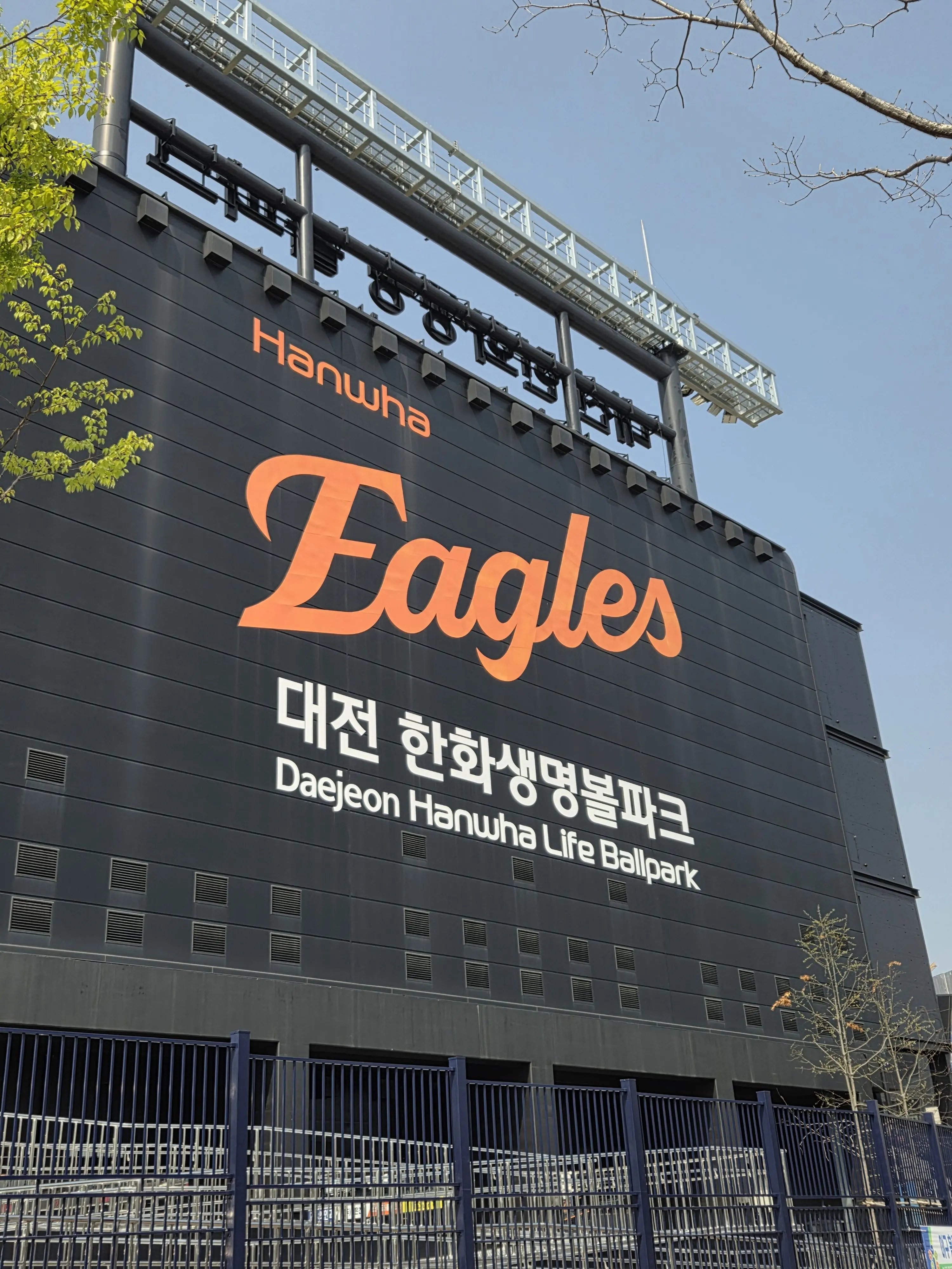 VapidEpoch9706의 최연소 야구선수