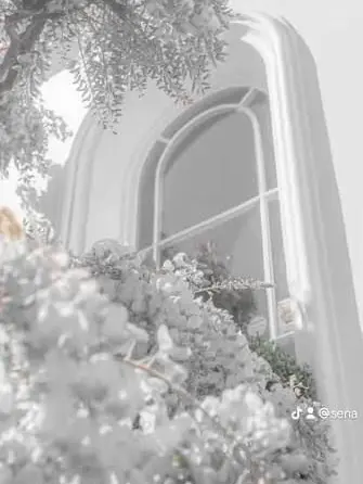 apricots의 ごめんね