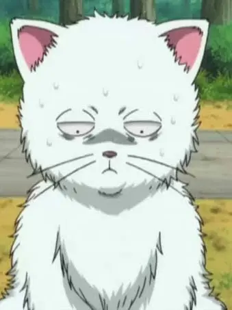 Xx-himazinndesu-xX의 銀さんが猫になりました