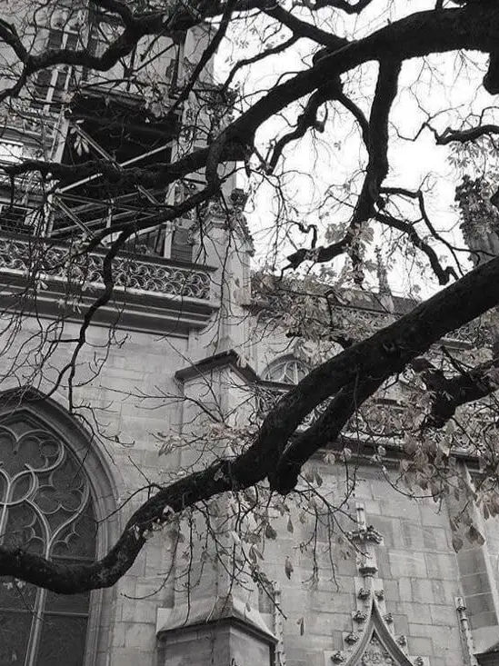 a2511x의 森の奥、黒き館で君を待つ