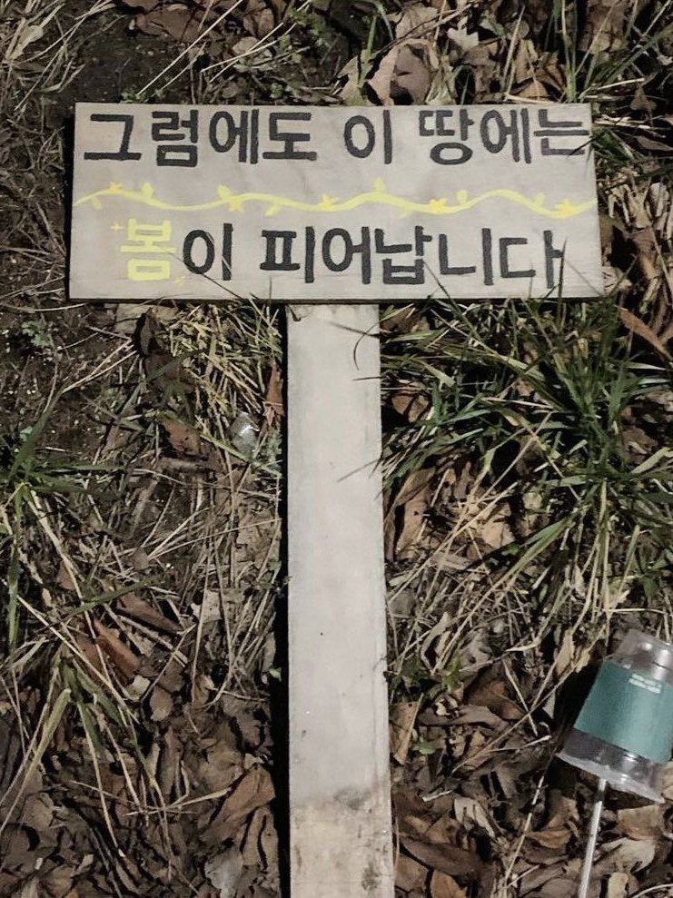 박종수 대표 이미지
