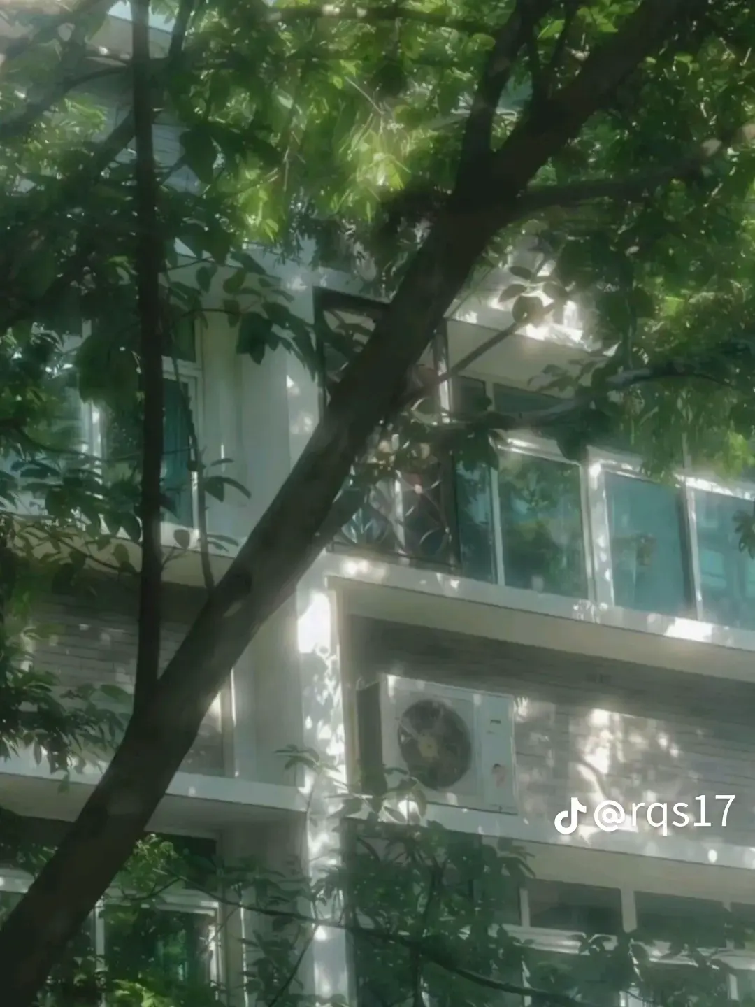 FestalSkier7016의 그날의여름