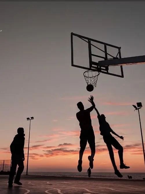 SecureBurp0966의 ツイステ バスケ部