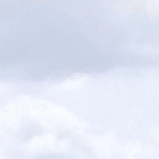 VictimFrog.com의 変化していく