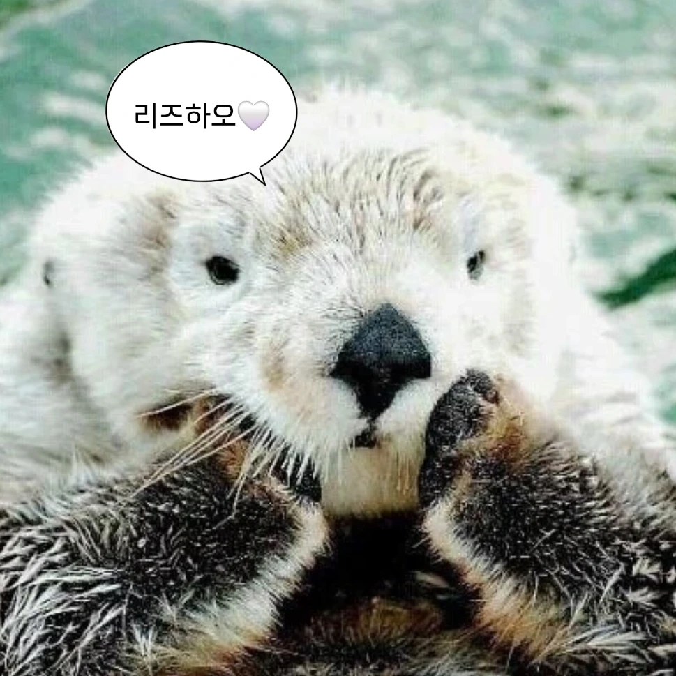 보이즈||플래닛 리즈하오