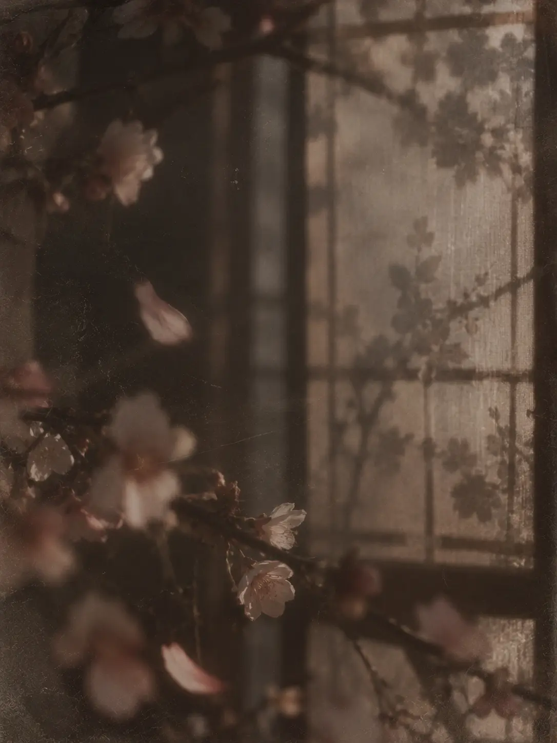 nareumi의 憐花