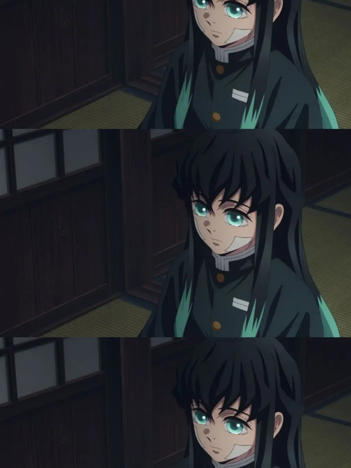 StubbyGoat0143의 토키토 무이치로