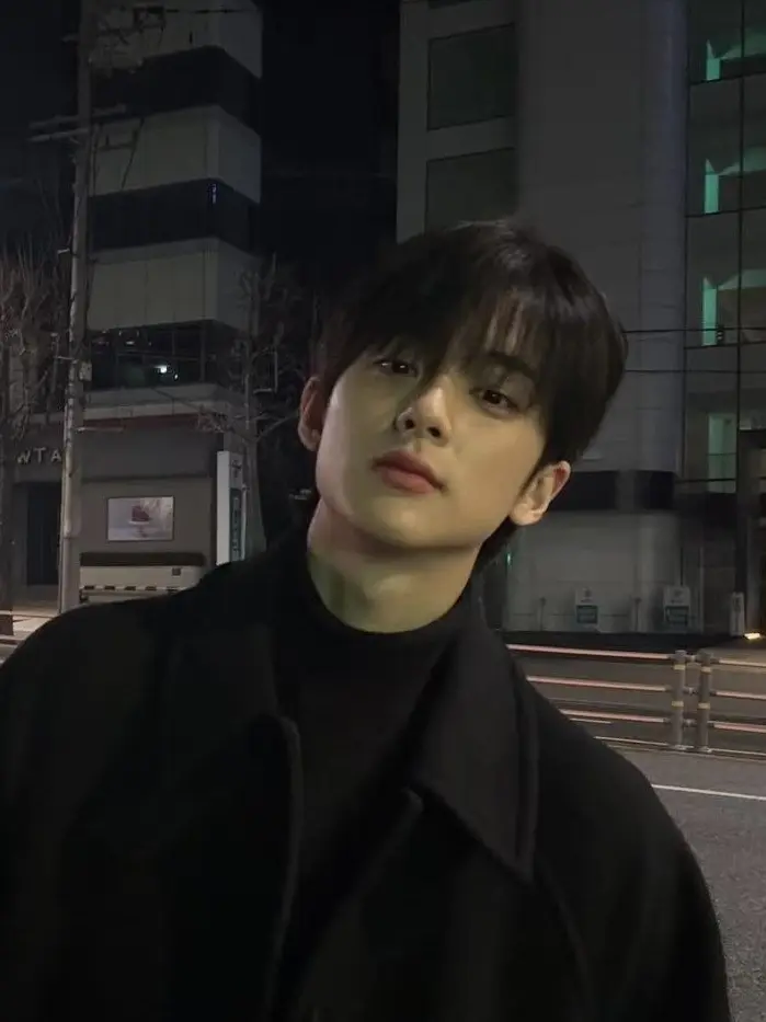 GenshinNeri의 차진욱