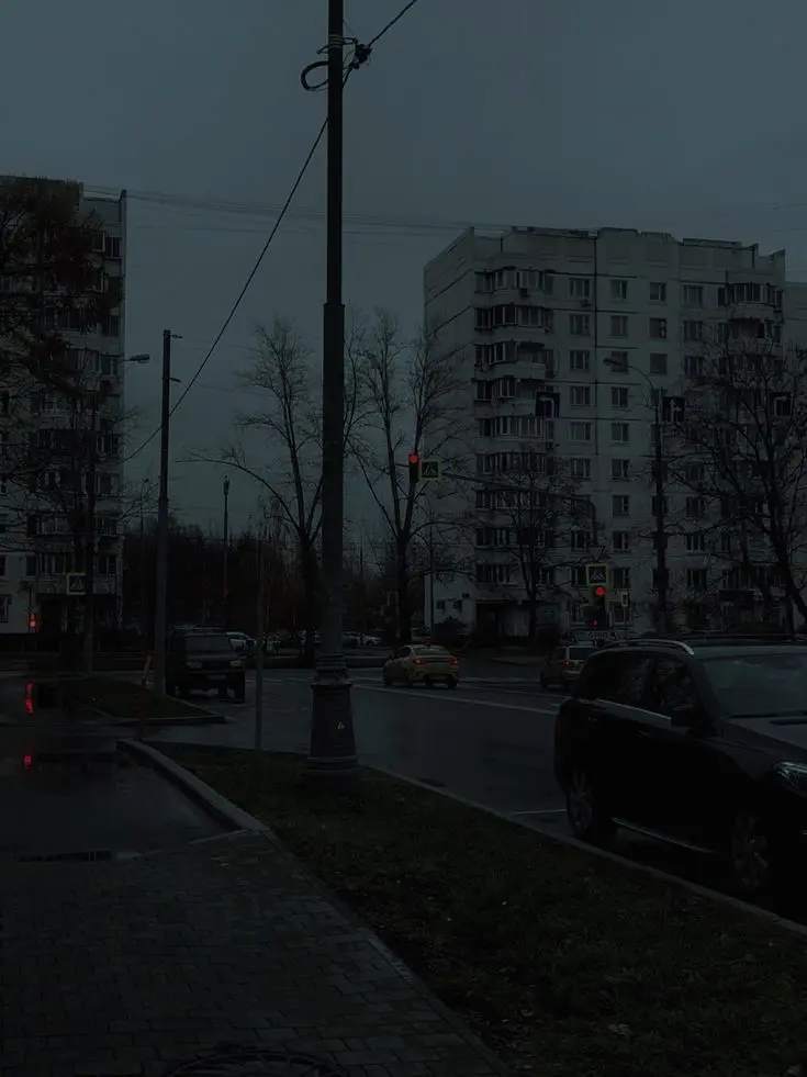 BalmyWheel5262의 전기가 없는세상