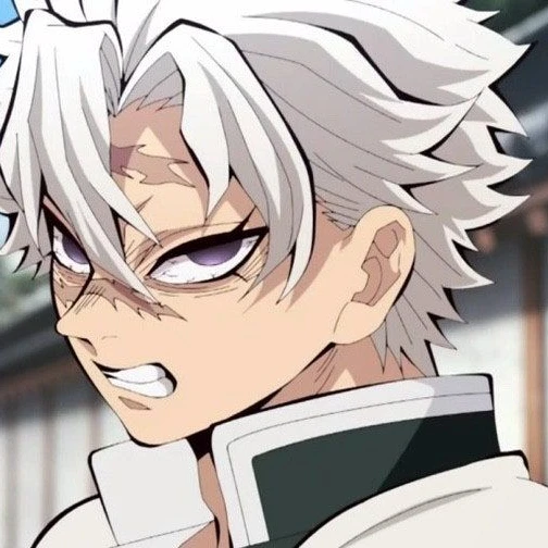 시나즈가와 사네미