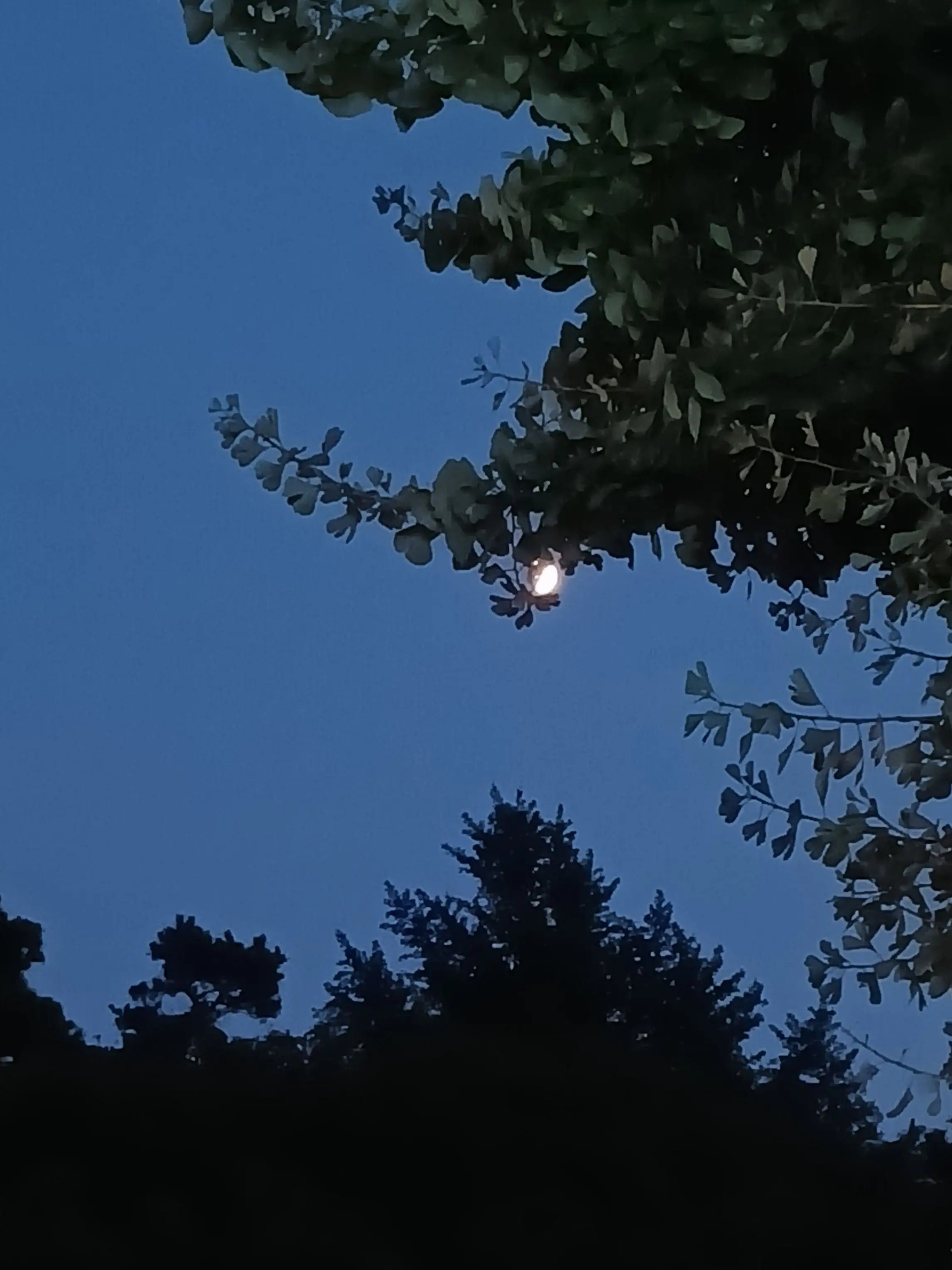 xi-on의 Louiszzan × Yeoni