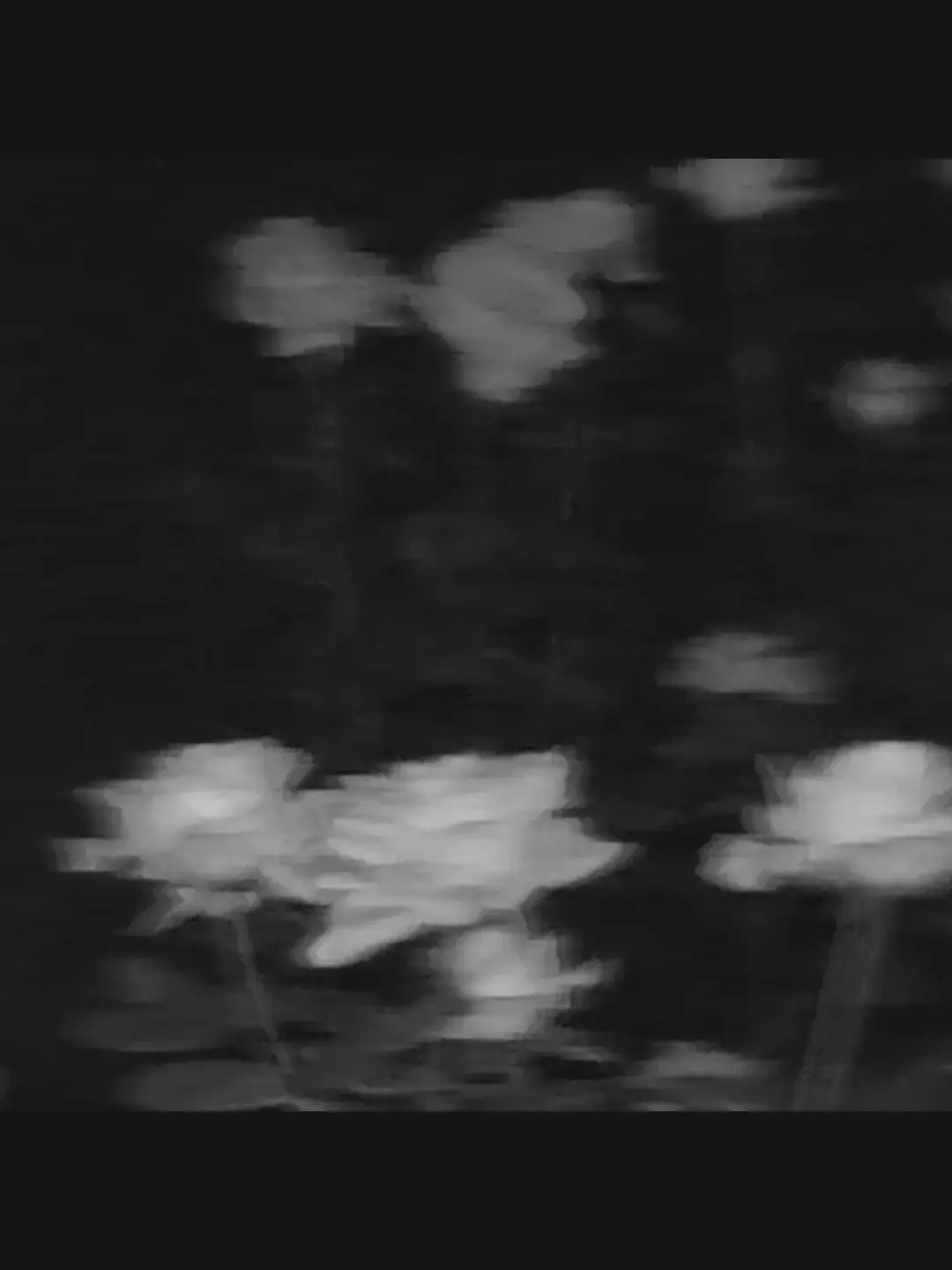 WooyungLoveGirl의 오랜만이에요 {{user}}씨?