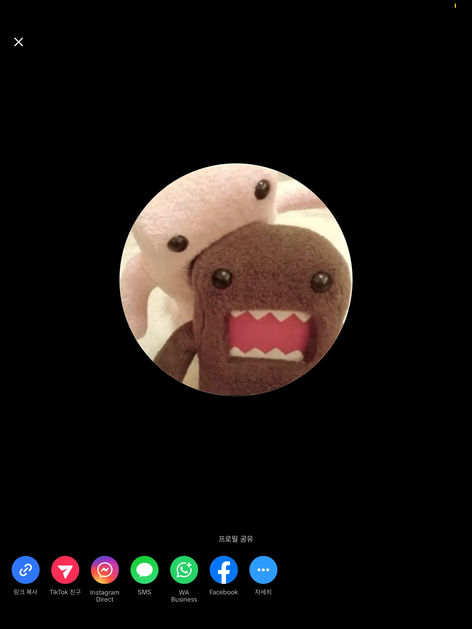 binybinyyo의 틱톡계의 전설들이 나타났다.