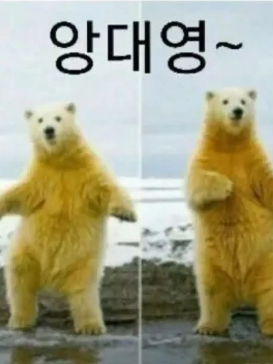 StarkMolly8677의 미친 여사친들