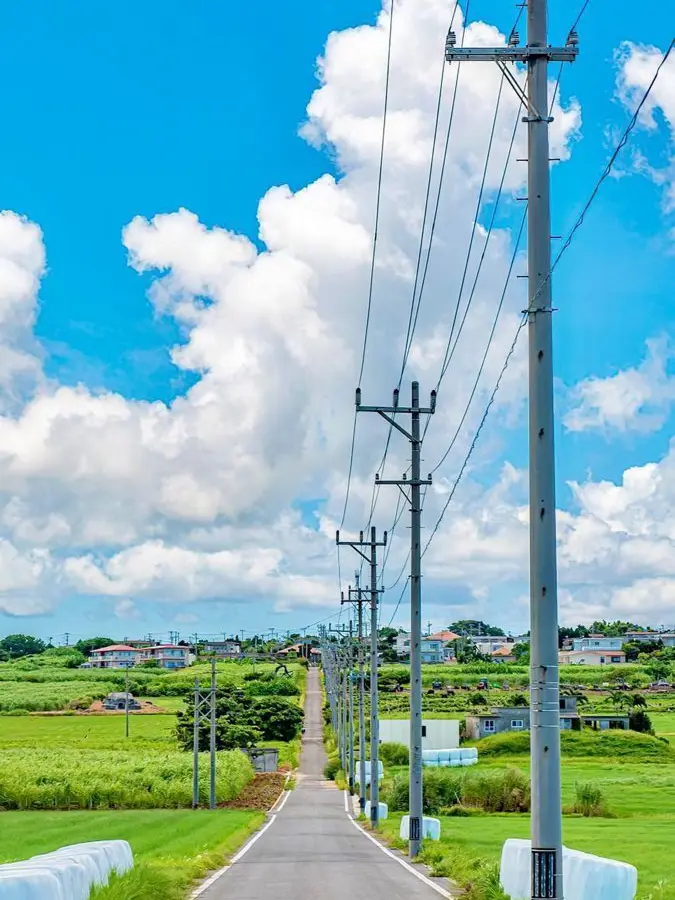 nibd의 이게 청춘인가봐~?