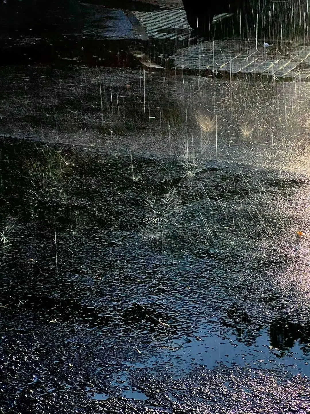 Soyeggrice의 부모