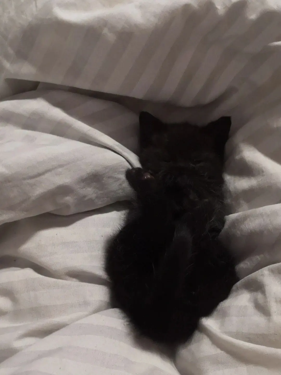 Itkung의 무뚝뚝한 남편과 육아일기