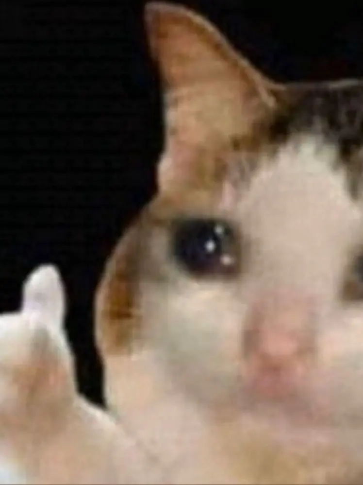 28._.85의 큐엔에이