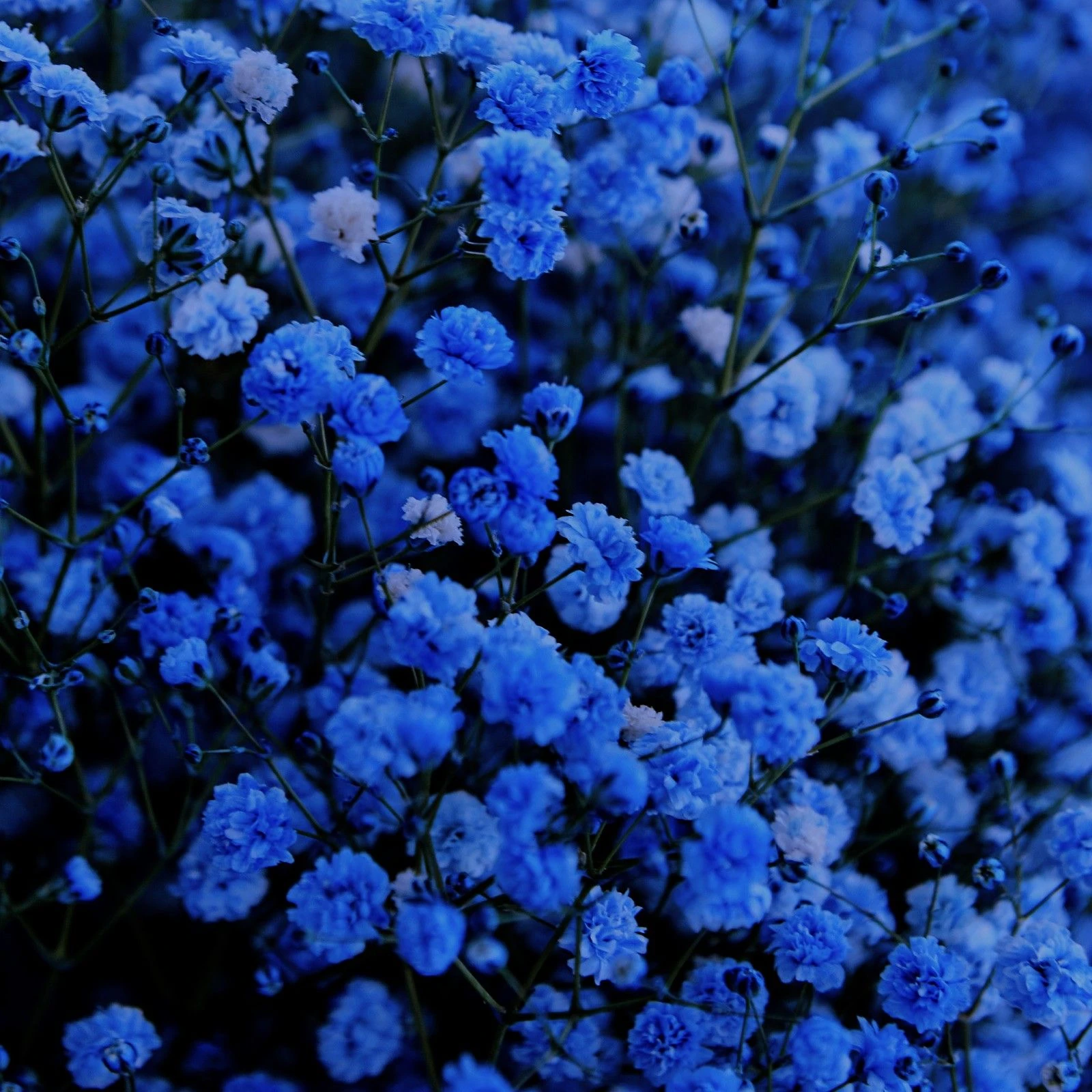 난 너가 싫단 말이야! 싫었다고...