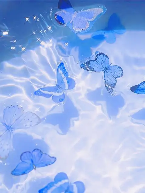 Pi_bee의 全て君のため 💡