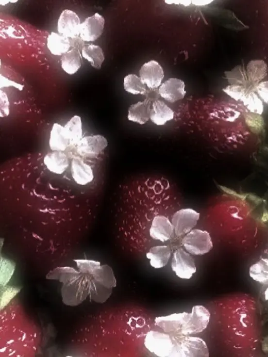 VapidKnob2242의 갠용이엿지만 친구들이 하래서 수위높