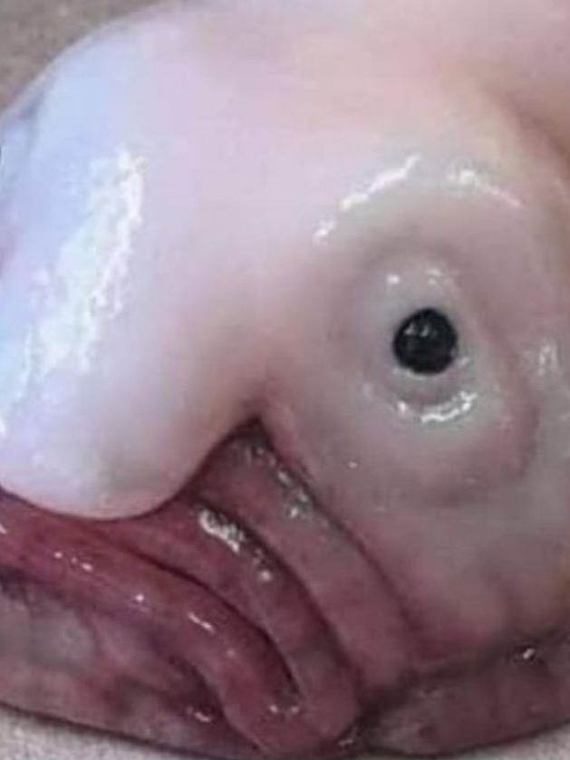 남자들 메복 입기>< [포세이큰] 대표 이미지