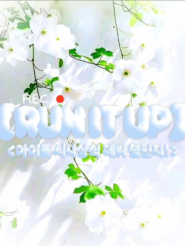 jinro0329의 [🌟Run it up]