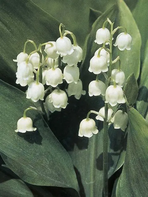 aun0802의 오래동안 이어진 연