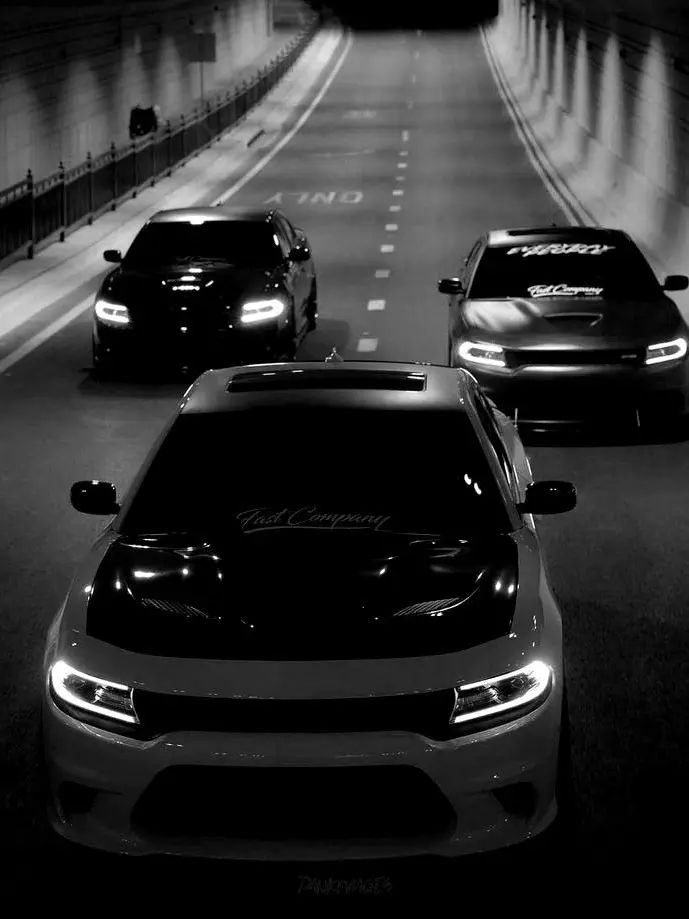 CozyCarp6043의 Illegal Racing Crew