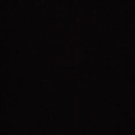 Hyunjoon_Lions의 대저택(좀비)