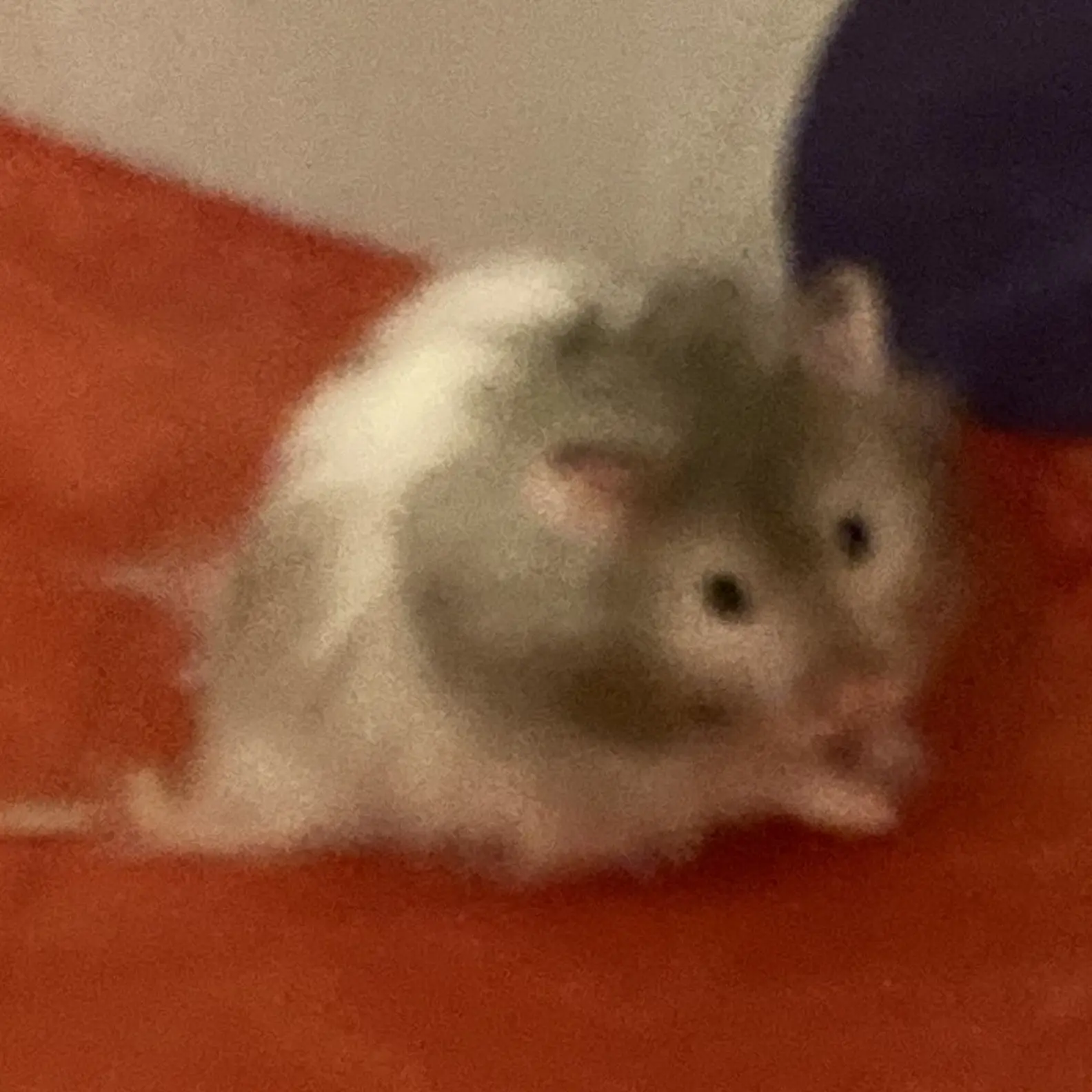 RichSwipe7827의 社会(パート2)