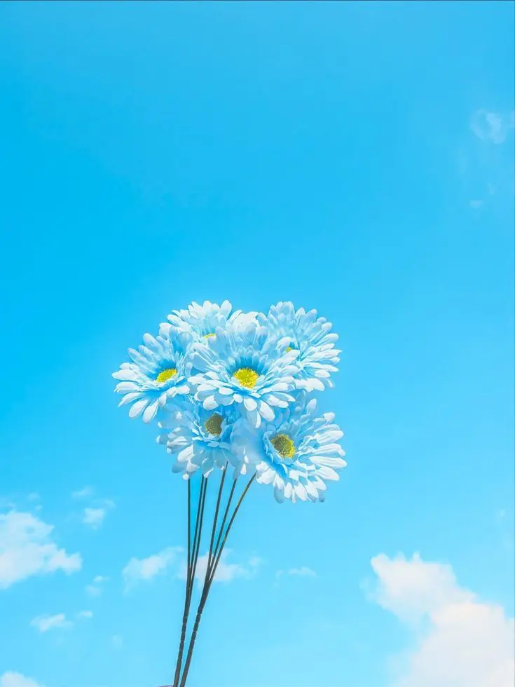Marin_Home_Please_0016의 그 해 푸르던 여름은,