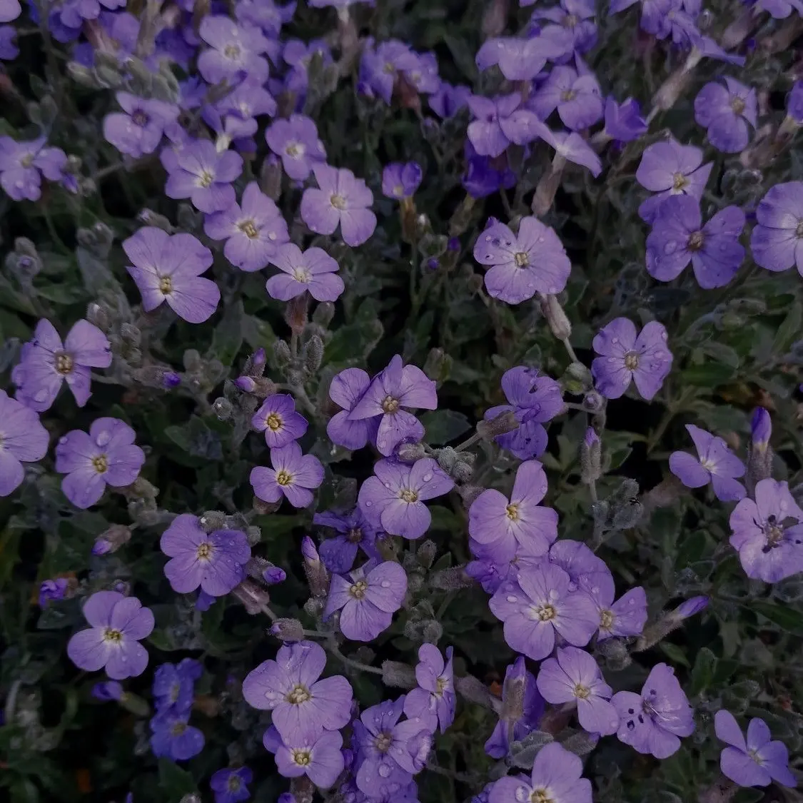 Mo_ndong의 최현준