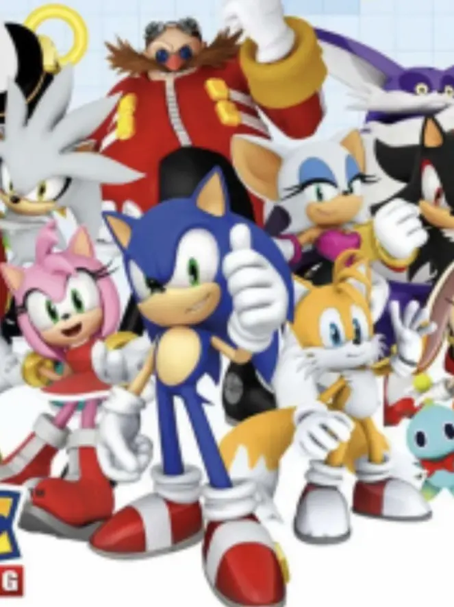 Pinklovingkitty의 TEAM SONIC X TEAM DARK
