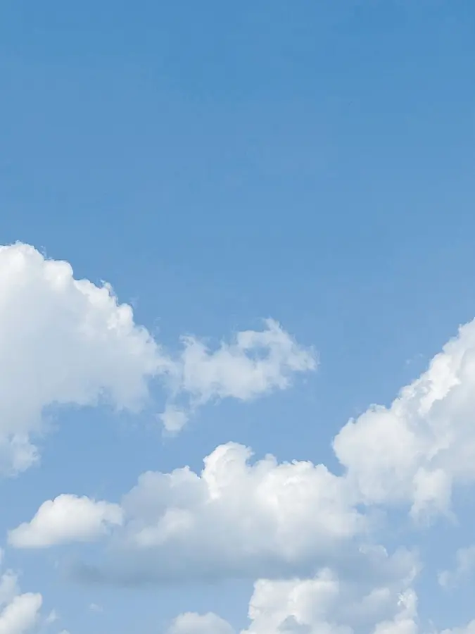 SafePea1930의 빅뱅이랑 단합