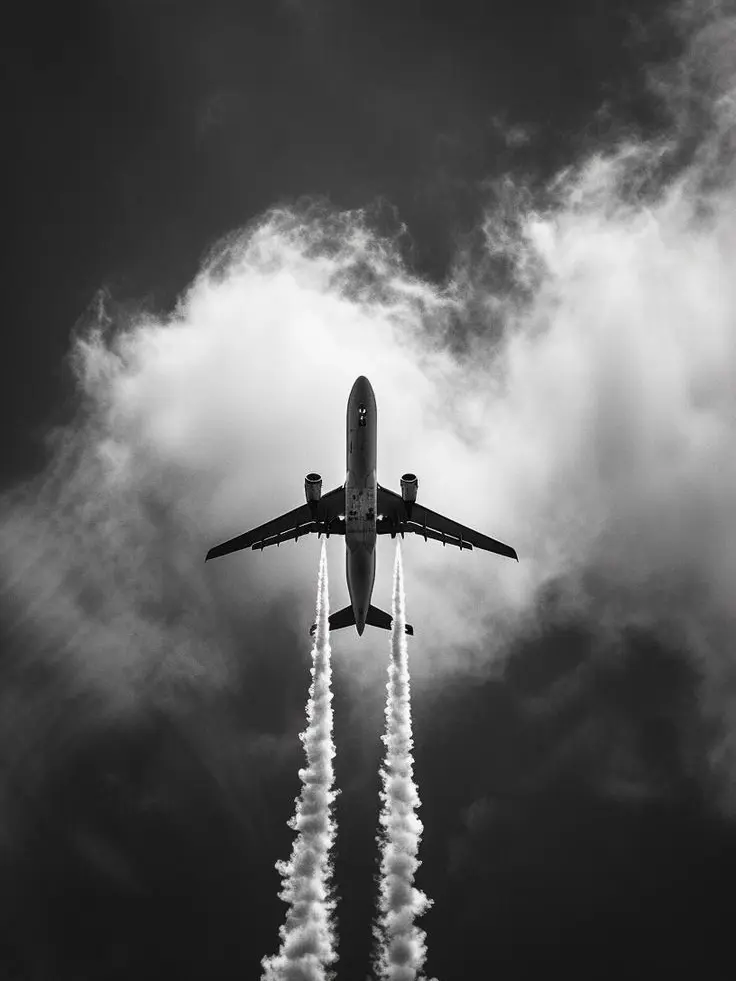 LLLL_21llll의 태국행 티켓 끊어버린 놈